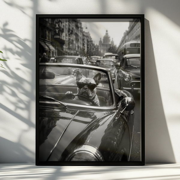 French Bulldog Driving Classic Car Poster, Funny Dog Wall Art, Black and White Print